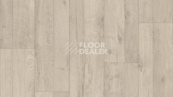 Линолеум Tarkett ENERGY Holly 1 фото 1 | FLOORDEALER