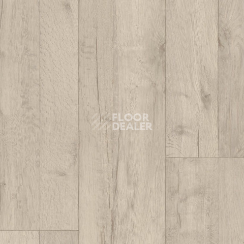 Линолеум Tarkett ENERGY Holly 1 фото 1 | FLOORDEALER