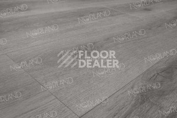 Виниловая плитка ПВХ Norland Neowood 8мм Templet 2001-8 фото 1 | FLOORDEALER