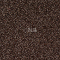 Ковровая плитка Desso Torso 2053 фото 1 | FLOORDEALER