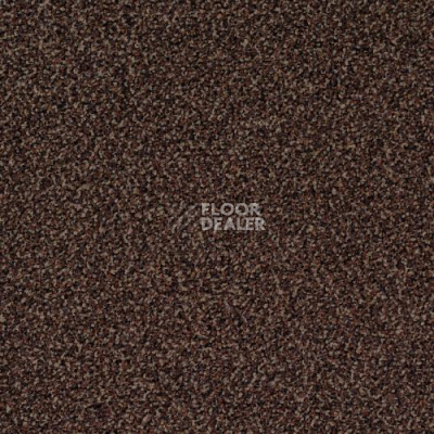 Ковровая плитка Desso Torso 2053 фото 1 | FLOORDEALER