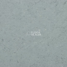 Линолеум Marmorette DLW 2.5mm 0055 Ash Grey фото 1 | FLOORDEALER