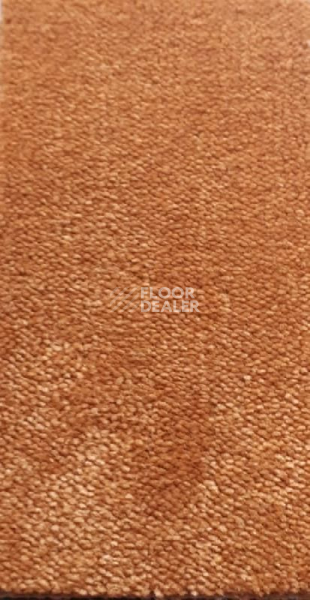 Ковролин AW Masquerade Mezza 84 фото 1 | FLOORDEALER