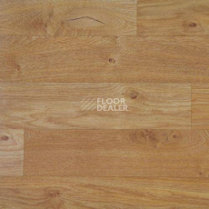 Линолеум Lg Bright BR92202-01 фото 1 | FLOORDEALER