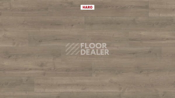 Ламинат Haro Tritty 90 Дуб Бари Серый 544678 фото 2 | FLOORDEALER