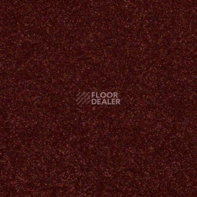 Ковролин Shaw Design Texture Platinum 642 фото 1 | FLOORDEALER