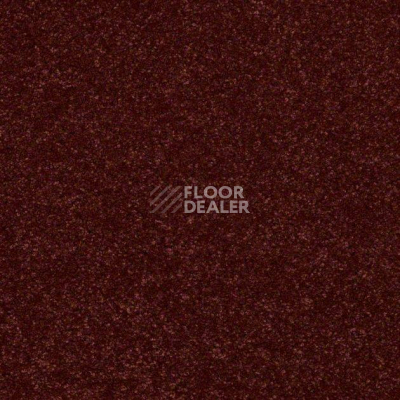 Ковролин Shaw Design Texture Platinum 642 фото 1 | FLOORDEALER