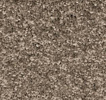 Ковролин AW Gala Equator 97 фото 1 | FLOORDEALER