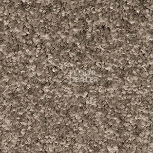 Ковролин AW Gala Equator 97 фото 1 | FLOORDEALER