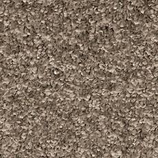 Ковролин AW Gala Equator 97 фото 1 | FLOORDEALER