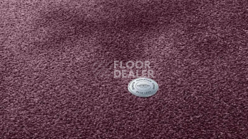 Vorwerk Superior 1064/Lyrica Vorwerk 1n42 фото 1 | FLOORDEALER