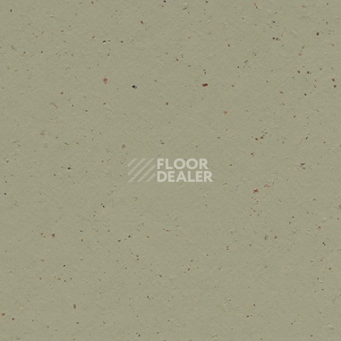 Линолеум Forbo Marmoleum Solid Cocoa 3593 matcha фото 1 | FLOORDEALER
