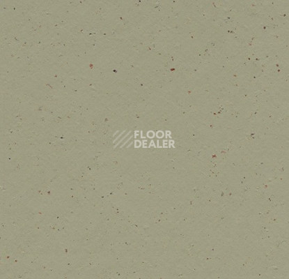 Линолеум Forbo Marmoleum Solid Cocoa 3593 matcha фото 1 | FLOORDEALER