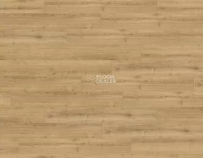 Rooms Loft 10мм R1028A Дуб Адаха фото 1 | FLOORDEALER