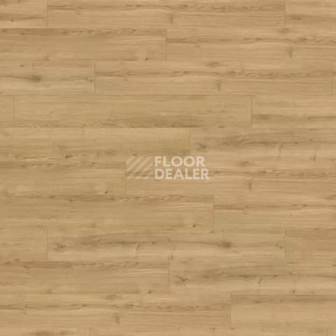 Ламинат Rooms Loft 10мм R1028A Дуб Адаха фото 1 | FLOORDEALER