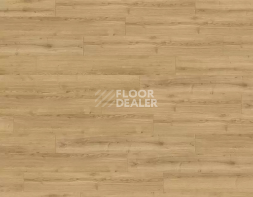 Ламинат Rooms Loft 10мм R1028A Дуб Адаха фото 1 | FLOORDEALER