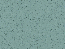 Линолеум Polyflor Polysafe Ecomax 4628 Apple Mint фото 1 | FLOORDEALER