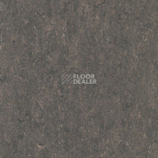 Линолеум Marmorette Acoustic DLW 121-158 фото 1 | FLOORDEALER