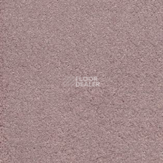 Ковролин AW Sirene 60 фото 1 | FLOORDEALER