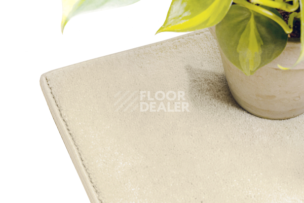 Ковролин Haima STONE (Стоун) 30 Ivory фото 4 | FLOORDEALER