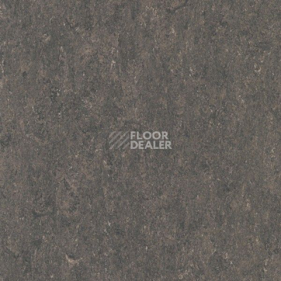 Линолеум Marmorette Acoustic DLW 121-158 фото 1 | FLOORDEALER
