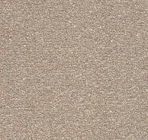 Ковролин AW Brilliant 36 фото 1 | FLOORDEALER