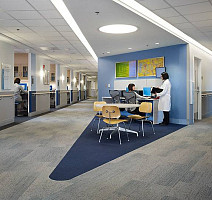 Interface Pietra Coll - Bertola