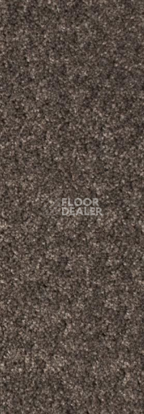 Ковролин AW Stainguard Harvest 43 фото 1 | FLOORDEALER