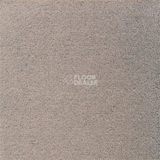 Ковролин Sintelon Eden 10230 фото 1 | FLOORDEALER