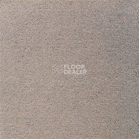 Ковролин Sintelon Eden 10230 фото 1 | FLOORDEALER