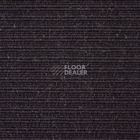 Ковролин Carpet Concept Eco Wool 596067 фото 1 | FLOORDEALER