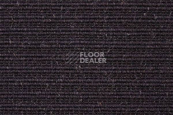 Ковролин Carpet Concept Eco Wool 596067 фото 1 | FLOORDEALER