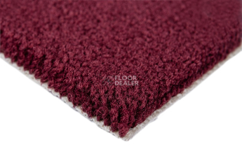 Balsan Les Best 590 фото 4 | FLOORDEALER