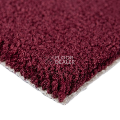 Balsan Les Best 590 фото 4 | FLOORDEALER