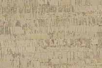 Пробковое покрытие Cork Pro Linea Vanilla фото 1 | FLOORDEALER