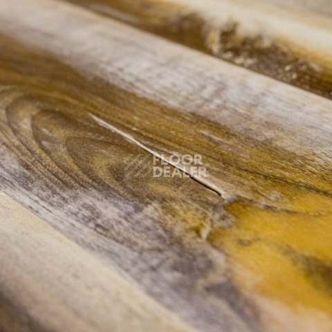 Bohofloor Design Collection dc1210 Contemporary фото 5 | FLOORDEALER