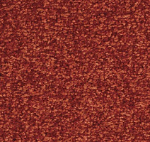 Ковролин Balsan Ultrasoft 550 фото 1 | FLOORDEALER