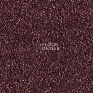 Ковролин AW Bellisima 19 фото 1 | FLOORDEALER