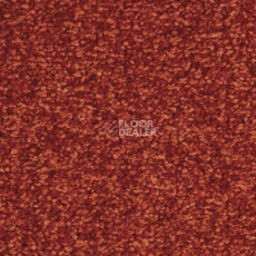 Ковролин Balsan Ultrasoft 550 фото 1 | FLOORDEALER