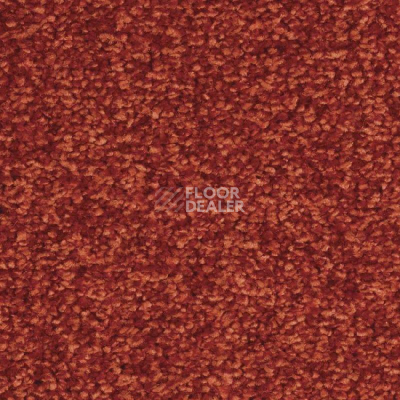 Ковролин Balsan Ultrasoft 550 фото 1 | FLOORDEALER