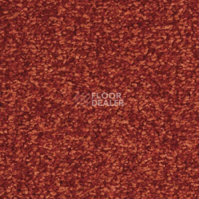 Ковролин Balsan Ultrasoft 550 фото 1 | FLOORDEALER