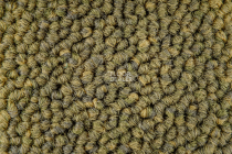 Desso Essence Pure ad 07 6321 фото 2 | FLOORDEALER