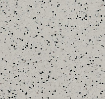 Линолеум Polyflor OHMega Ec 6002 фото 1 | FLOORDEALER