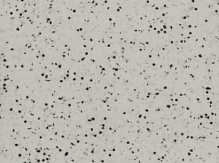 Линолеум Polyflor OHMega Ec 6002 фото 1 | FLOORDEALER