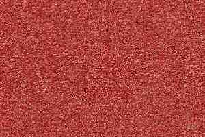 Ковролин Radici Montecarlo 61 фото  | FLOORDEALER