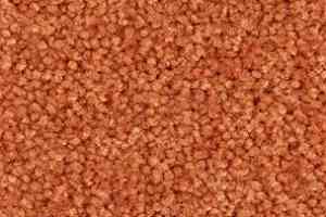 Ковролин Balsan Bolero roll 465 фото  | FLOORDEALER