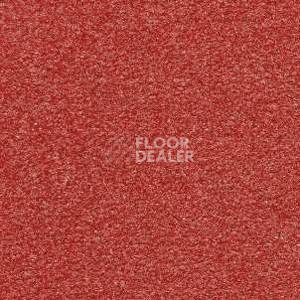 Ковролин Radici Montecarlo 61 фото 1 | FLOORDEALER