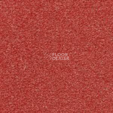 Ковролин Radici Montecarlo 61 фото 1 | FLOORDEALER