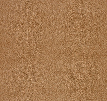 Ковролин AW Masquerade Fedone 80 фото 1 | FLOORDEALER