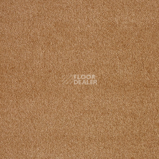 Ковролин AW Masquerade Fedone 80 фото 1 | FLOORDEALER